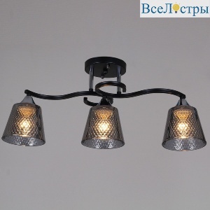 Потолочный светильник Reluce 06089-0.3-03 BK+CR