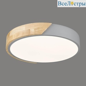 Потолочный светодиодный светильник Velante 445-207-01