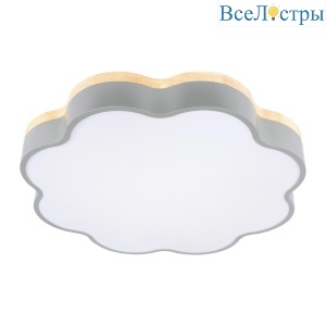 Потолочный светодиодный светильник Loft IT Axel 10225/36 Grey