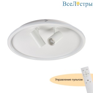 Потолочный светильник Myfar Focus MR9050-CL