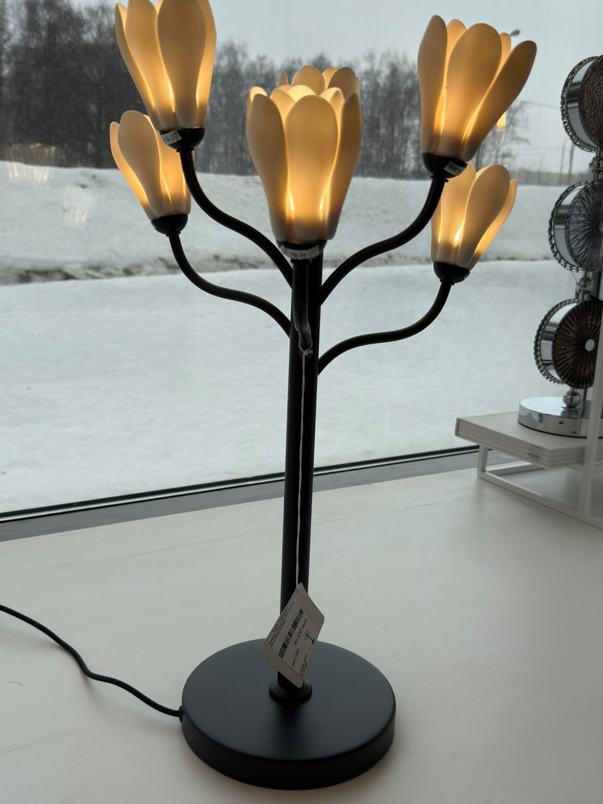 настольная лампа odeon light gardi modern 5090/6t