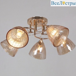 Потолочная люстра Reluce 02560-0.3-05 FG