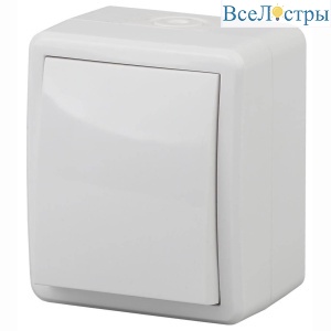 Выключатель одноклавишный ЭРА Эксперт 10AX 250V IP54 11-1401-01 Б0020669