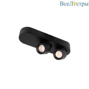Накладной спот Loft IT Quiet 10320/2 Black