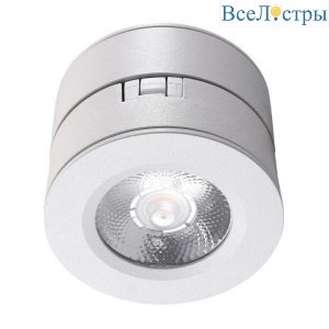 Потолочный светильник Lucia Tucci Benassi LTP-C003-12W-W
