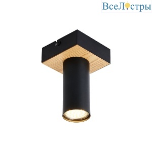 Накладной светильник F-Promo Olson 4431-1C