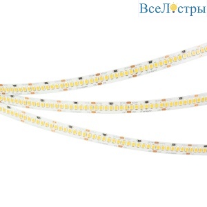 Светодиодная лента Arlight RT-A252-10mm 24V Day5000 (11 W/m, IP20, 2835, 5m) 028618(2)