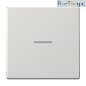 Клавиша 1-ная с линзой Jung LS990 LS990KO5LG