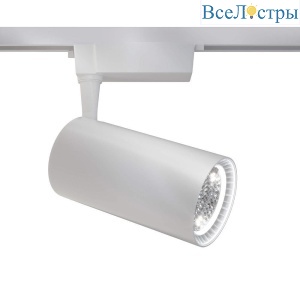 Трековый светильник Maytoni Technical Vuoro TR003-1-36W3K-W-W