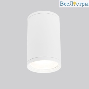 Уличный светильник Elektrostandard Light 35128/H белый 4690389175893