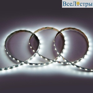 Светодиодная лента General GLS-5050-60-14.4-24-IP20-PRM-6 502340