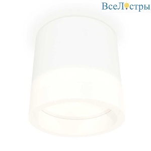 Комплект накладного светильника Ambrella light Techno Spot XS (C8110, N8401) XS8110001