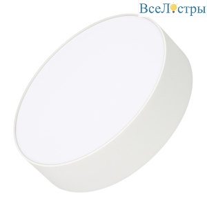 Накладной светильник Arlight IM-RONDO-EMERGENCY-3H-R210-20W Warm3000 (WH, 120 deg, 230V) 039652