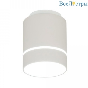 Потолочный светодиодный светильник Citilux Борн CL745010N