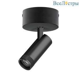 Накладной светильник 20-55G с адаптером Lightstar Canno Pro C4127SO