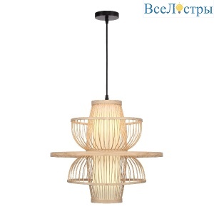Подвесной светильник ST Luce Alma SL6241.513.01