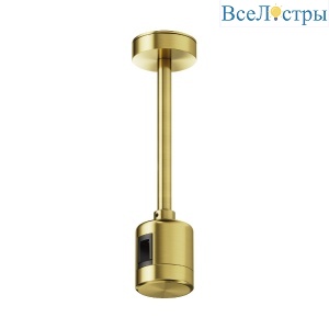 Крепление потолочное с прямым коннектором питания Maytoni Flarity TRA156C-IPCL1-BS