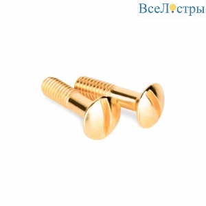 Винты Werkel для распределительной коробки/TV розетки Ретро золото WL18-22-01 4690389105906
