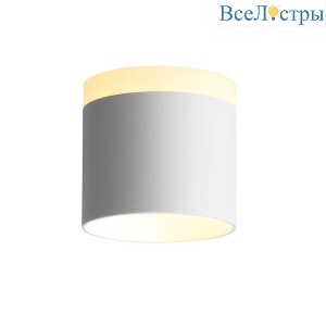 Накладной светильник ST-Luce Panaggio ST102.502.09