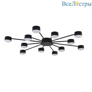 Потолочная люстра Lumion Comfi Torina 8344/12C