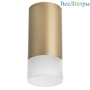 Накладной светильник Lightstar Rullo R44031 (214440+202431)