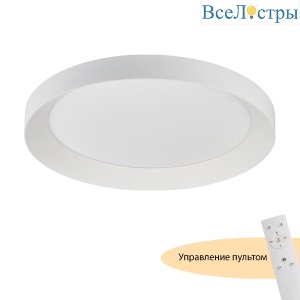 Потолочный светильник Myfar Neso MR9080-CL