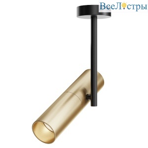 Спот Maytoni Elti C020CL-01GB