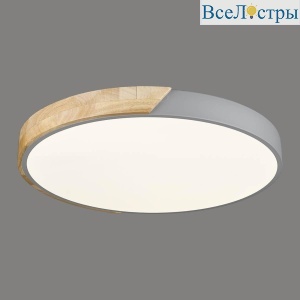 Потолочный светодиодный светильник Velante 445-247-01