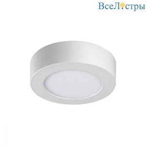 Потолочный светодиодный светильник Kanlux Carsa 33530