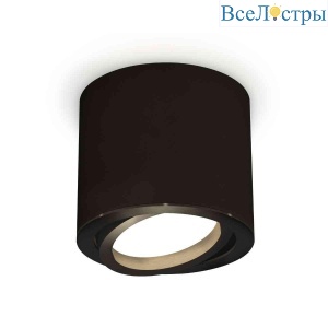 Комплект накладного светильника Ambrella light Techno Spot XS7402001 SBK/PBK черный песок/черный полированный (C7402, N7002)