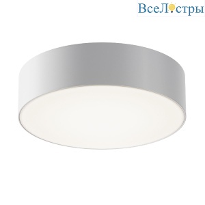 Уличный потолочный светильник Maytoni Zon IP O431CL-L30W4K