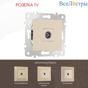 Розетка TV Arte Milano 203.43-1.shampan