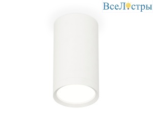 Потолочный светильник Ambrella Light Techno Spot XS8161001 (C8161, N8112)