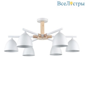 Люстра на штанге Lumion Colange 8095/6C