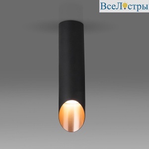 Потолочный светильник Elektrostandard DLN115 GU10 черный/золото 4690389151194