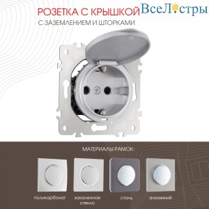 Розетка с заземлением, шторками и защитной крышкой Arte Milano 202.41-1.silver