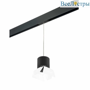 Трековый светильник Lightstar Rullo (213487+595887+202486) PRORP3487486