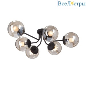 Потолочная люстра Vitaluce V4997-1/6PL