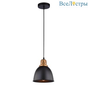 Подвесной светильник Arte Lamp Eurica A4245SP-1BK
