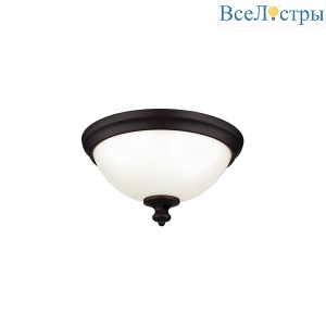 Потолочный светильник Feiss Parkman FE-PARKMAN-F-OB