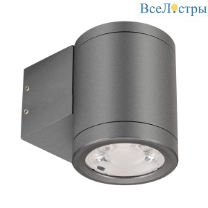 Уличный настенный светильник Arlight LGD-RAY-WALL-R65-9W Warm3000 (GR, 23 deg, 230V) (IP65 Металл) 038153(1)