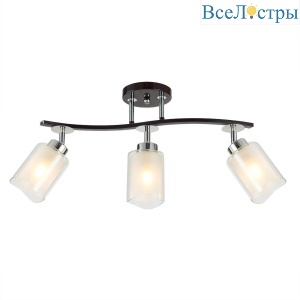 Спот Citilux Фортуна CL156132