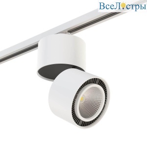 Трековый светодиодный светильник Lightstar Forte Muro (592066+213850) A1T213850