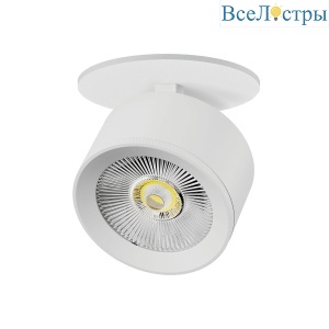 Встраиваемый светильник Alta Pro Lightstar A5546RS