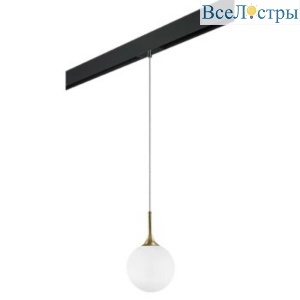 Трековый светильник Lightstar Globo (813022+595007) PRO813022