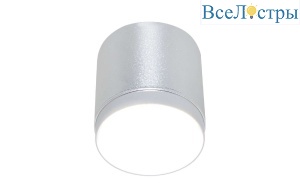 Накладной светильник Maytoni Polar C088CL-GX53-S