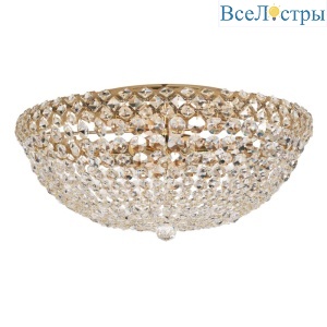 Накладная люстра Arti Lampadari Asti E 1.2.50.100 G