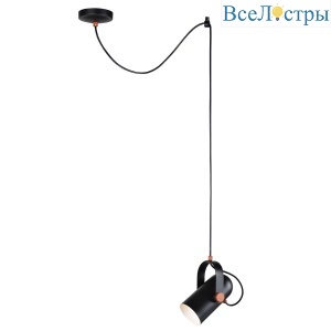 Подвесной светильник Favourite Ampolla 2007-1P