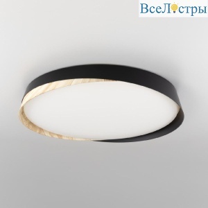 Потолочный светильник Citilux Bonny CL754451G