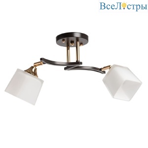 Потолочный светильник De Markt Тетро 673018202